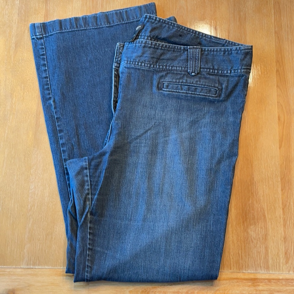 Ann Taylor Signature Jeans 18 EUC